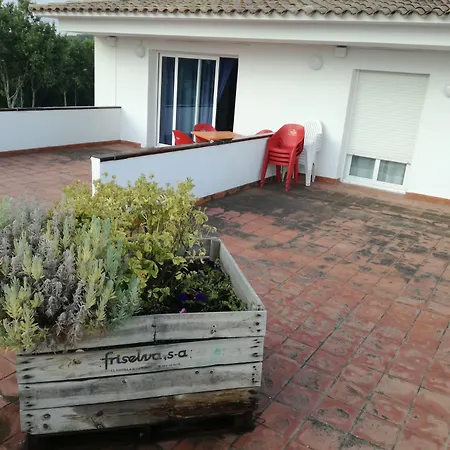 فندق Hotel Platja D'Aro 2*