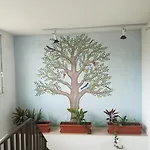Hotel Hotel Platja D'Aro