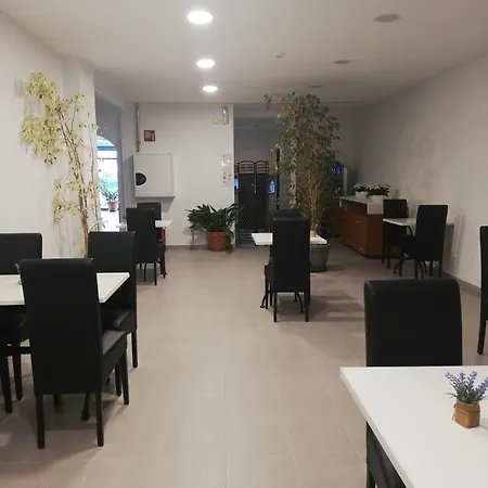 فندق Hotel Platja D'Aro بلاتجا ذارو