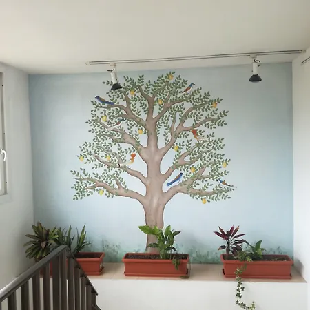 فندق Hotel Platja D'Aro