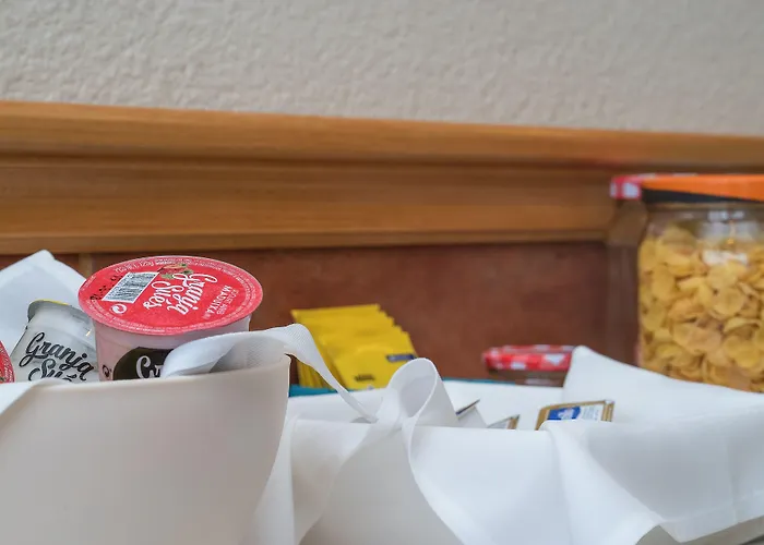 فندق Hotel Platja D'Aro بلاتجا ذارو