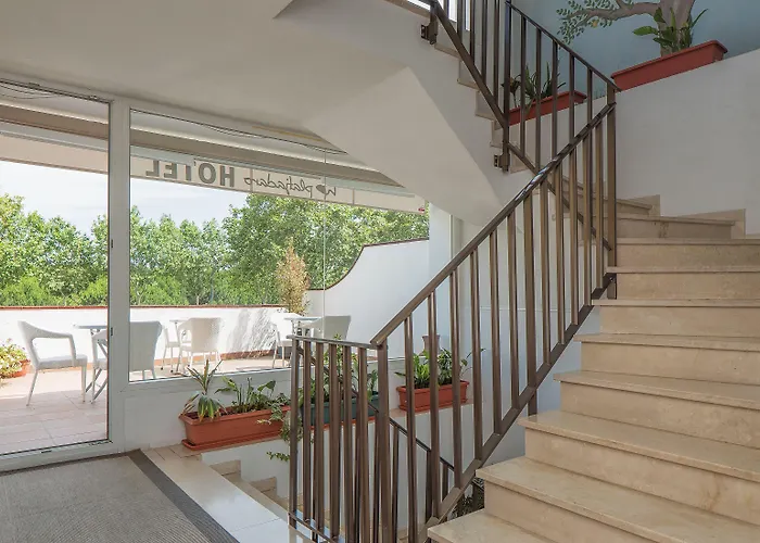 Hotel Platja D'Aro فندق بلاتجا ذارو